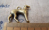 Accessories - 20 Pcs Of Antique Bronze Lovely Hound Dog Charms 20x20mm A1208