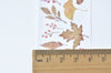 Leaf Nature Crafting Wide Washi Tape Card Making 40mm x 5M Roll A10568