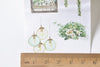 Cute Windows With Green Plants Washi Tape 55mm wide x 3M A12847